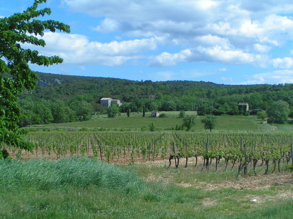 Aux Couleurs D'Ardeche Vallon-Pont-d'Arc Exterior photo
